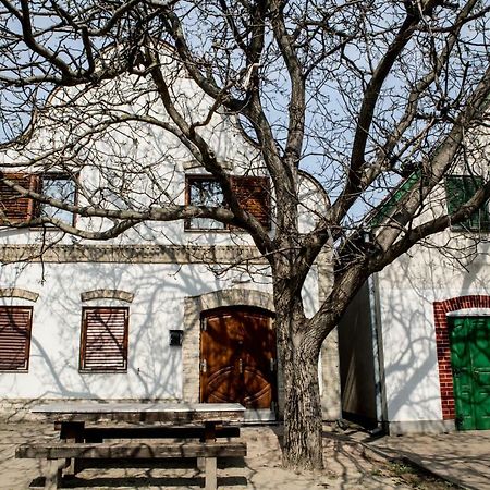 Berger Pince-vendégház, Hajósi pincék Exterior foto