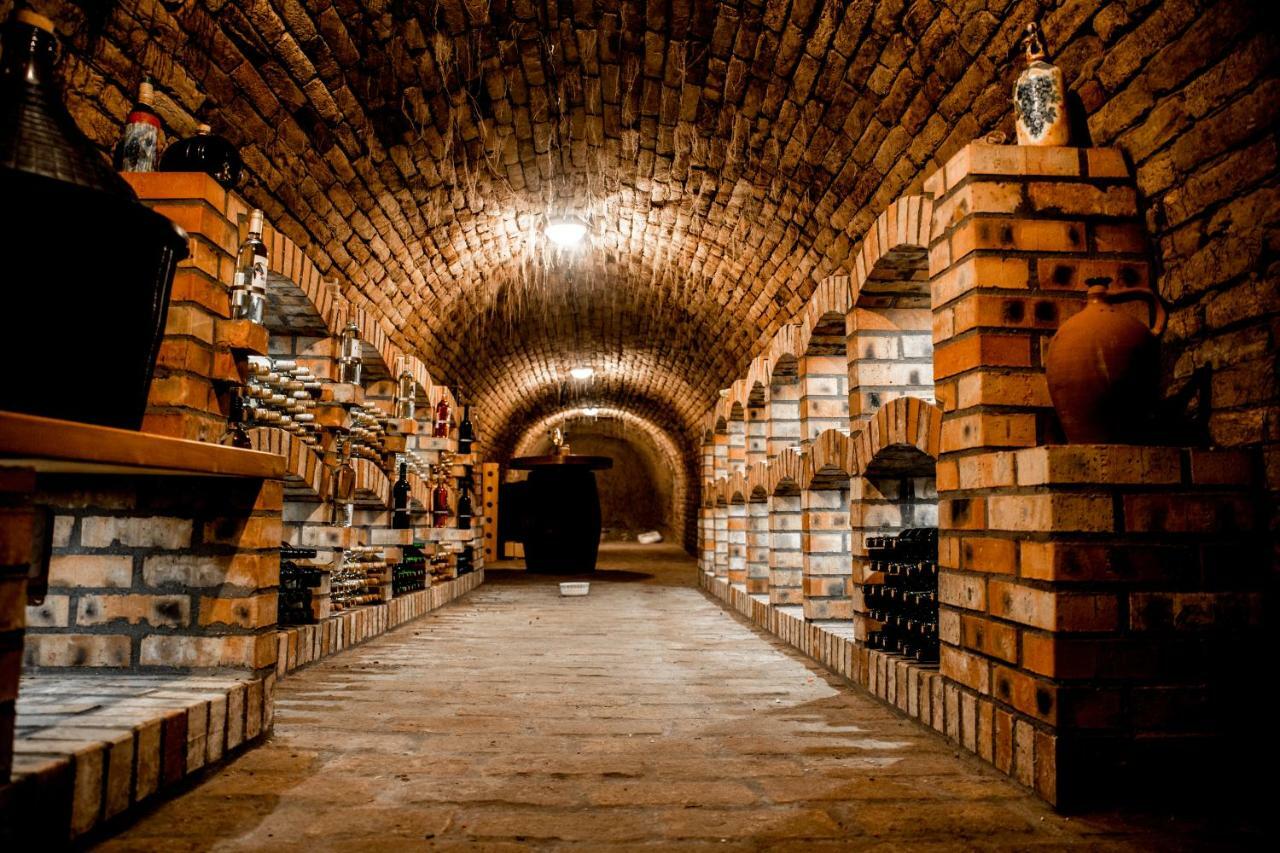 Berger Pince-vendégház, Hajósi pincék Exterior foto